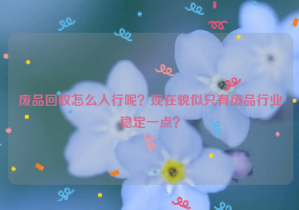 廢品回收怎么入行呢？現(xiàn)在貌似只有廢品行業(yè)穩(wěn)定一點？