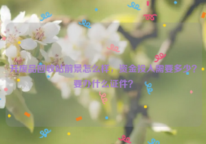 開廢品回收站前景怎么樣，資金投入需要多少？要辦什么證件？