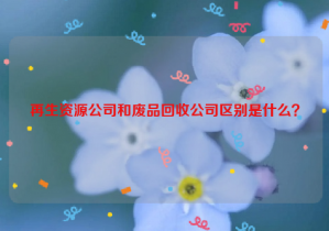 再生資源公司和廢品回收公司區(qū)別是什么？