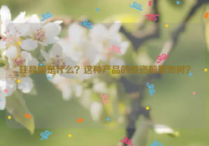 硅晶圓是什么？這種產(chǎn)品的投資前景如何？