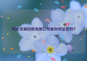 再生資源回收有限公司是如何運營的？