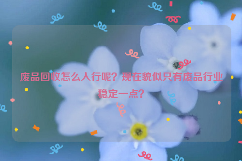 廢品回收怎么入行呢？現(xiàn)在貌似只有廢品行業(yè)穩(wěn)定一點(diǎn)？