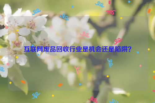 互聯(lián)網(wǎng)廢品回收行業(yè)是機會還是陷阱？
