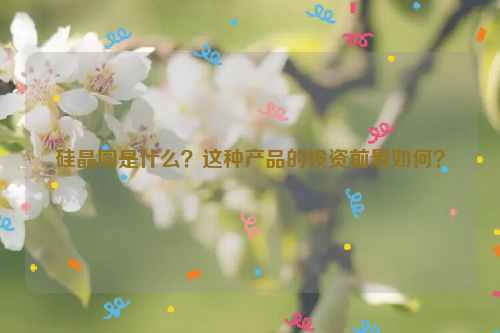 硅晶圓是什么？這種產(chǎn)品的投資前景如何？