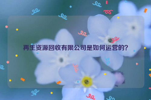 再生資源回收有限公司是如何運(yùn)營的？