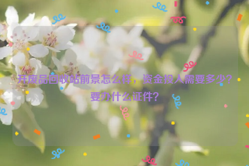開廢品回收站前景怎么樣，資金投入需要多少？要辦什么證件？
