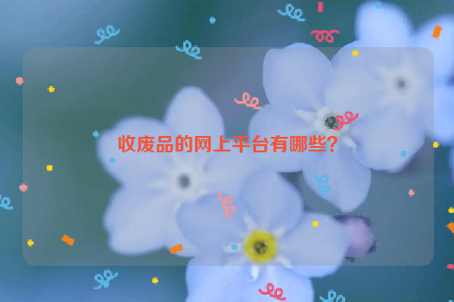 收廢品的網(wǎng)上平臺有哪些？