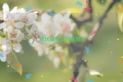 光伏板可以回收嗎？