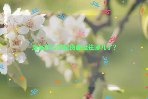 廢品收購(gòu)站把貨都運(yùn)往哪兒了？