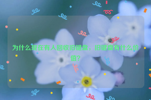 為什么現(xiàn)在有人回收舊鍵盤，舊鍵盤有什么價(jià)值？